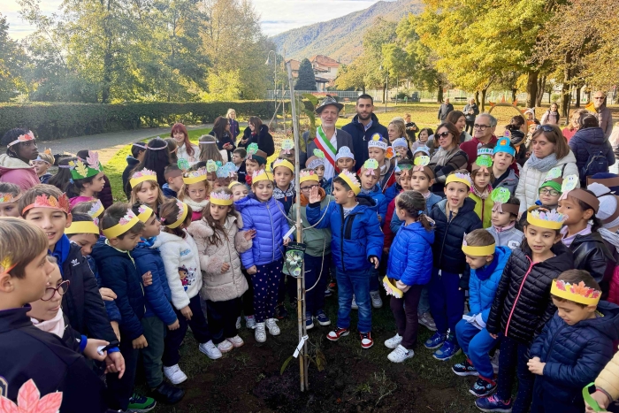 Balangero, piantato un banano di montagna in piazza Pertini per la Festa degli Alberi